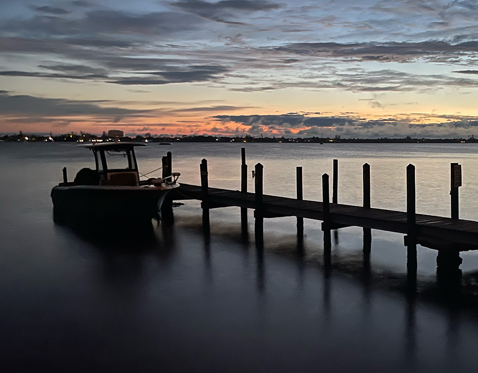 Resilience and Healing Dealing with Adversity